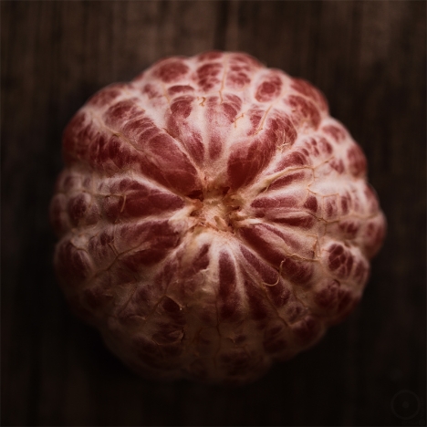 IMG_5218_bea_s 05.03.2023 - Grapefruit