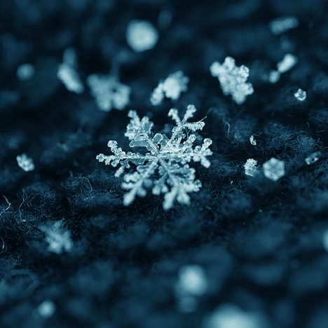 IMG_7235_bea_s Snowflake